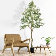 a living room with a chair, table and potted plant on the wooden floor