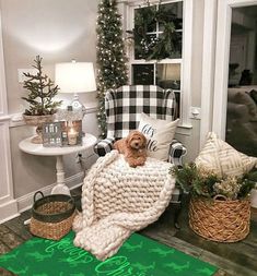 a dog sitting in a chair under a blanket on top of a wooden floor next to christmas trees