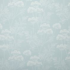 a wallpaper with white flowers on a light blue background