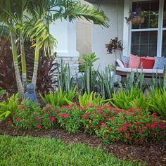 a garden with flowers and plants in front of a house