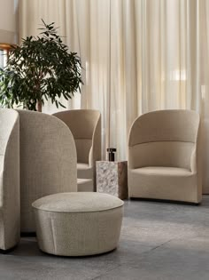 a living room filled with furniture and a potted plant