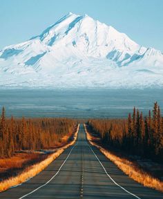 an empty road in front of a snowy mountain with trees on both sides and snow capped mountains behind it