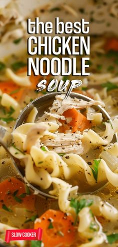 the best chicken noodle soup is shown in a bowl with a ladle full of noodles and carrots