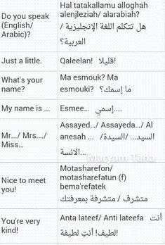 two different types of english and arabic words with the same language in each word,