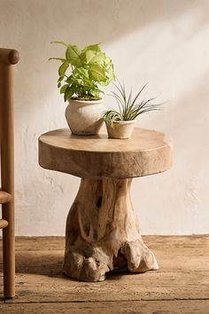 a potted plant sitting on top of a wooden table