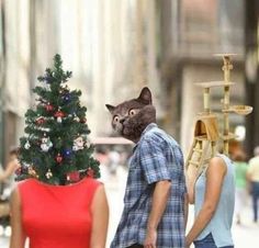 two people walking down the street with a cat head on top of a christmas tree