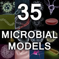 the cover of 35 microobial models, with an image of different types of cells