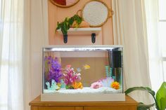 a fish tank sitting on top of a wooden table