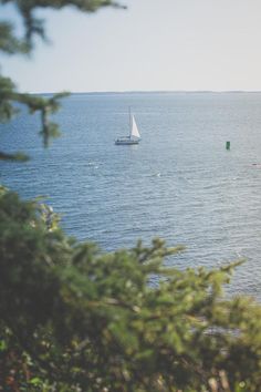 a sailboat is out on the water near some trees and other boats in the distance