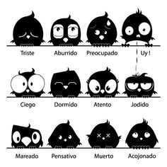 an image of birds with different expressions in spanish and english, including the names of them