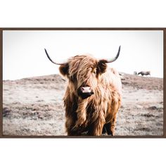 an animal with long horns standing in the grass