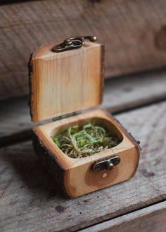 a small wooden box with some green stuff in it