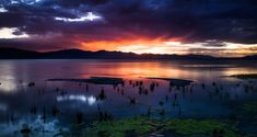 the sun is setting over an island in the middle of water with plants growing out of it