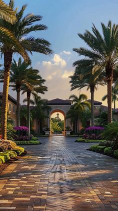 the walkway is lined with palm trees and flowers