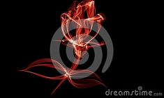 a red rose on a black background with the words dream written below it and an image of