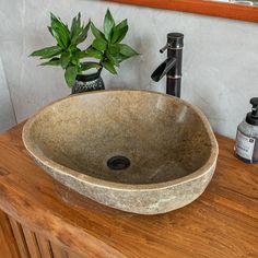 a bathroom sink sitting on top of a wooden counter next to a potted plant