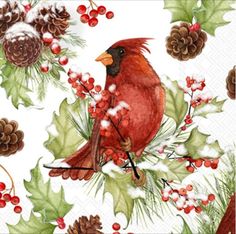 a red bird sitting on top of a tree branch surrounded by pine cones and berries