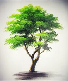 a painting of a tree with green leaves