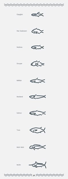 an image of different types of fish in the ocean