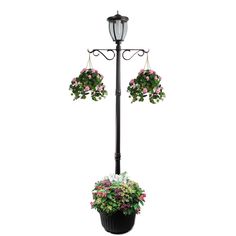 a lamp post with flowers hanging from it's sides and two potted plants on top