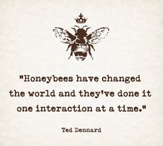 a quote from ted dennard about honeybees have changed the world and they've done it one interaction at a time