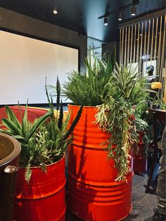 two large red buckets with plants in them