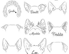 six different types of dogs with their names on the front and back, all in black ink