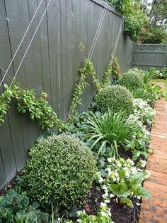 a garden with lots of plants and flowers next to a wooden fence in the back yard