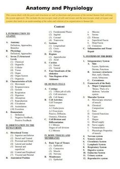 the anatomy and physiollogy chart