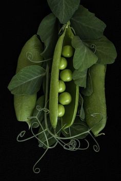 pea pods and leaves on a black background