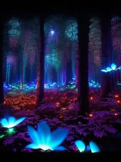 the forest is lit up with blue and green lights, while other plants glow in the dark