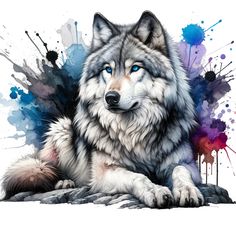 a white wolf with blue eyes sitting on the ground in front of paint splatters