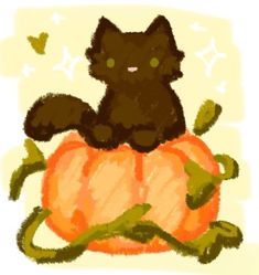 a black cat sitting on top of a pumpkin