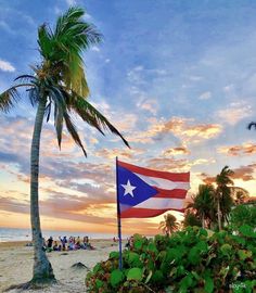 a flag on the beach with palm trees and people in the water behind it at sunset