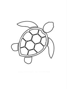 a drawing of a sea turtle