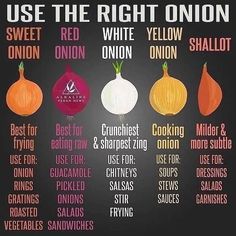 an onion chart with different types of onions in each one, and the words use the right onion