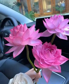 three pink flowers are placed in the center of a car