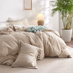 an unmade bed in a white room with a potted plant next to it