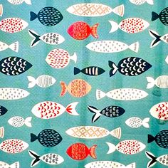 a group of fish that are on a blue surface with red, white and black dots