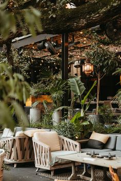 an outdoor seating area with lots of plants