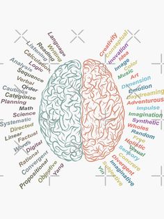 two halves of the same brain are labeled in different colors and sizes, with words describing their functions