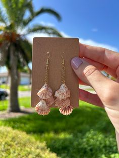 Kitten Paw Shell Earrings - a beautiful example of nature's simplicity and elegance. Hand-collected from the beaches of Venice, Florida, these earrings feature small, seashells. Each seashell showcases its unique form and color, adding a touch of individuality to every pair. Wear a piece of Venice with you wherever you go, and let these Seashell Earrings become a symbol of coastal charm and effortless beauty. Shell Earrings Diy, Diy Seashell Jewelry, Beachy Clothes, Anting Manik, Venice Florida, Beachy Jewelry, Beach Earrings