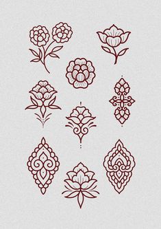 a bunch of flowers that are on a white surface and some red lines in the middle