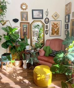 a living room filled with lots of plants and pictures on the wall next to each other