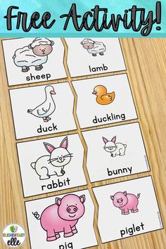 an animal themed sight book with the words free activity and pictures to print on it