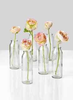 five clear vases with flowers in them on a white countertop, one is empty and the other has pink roses