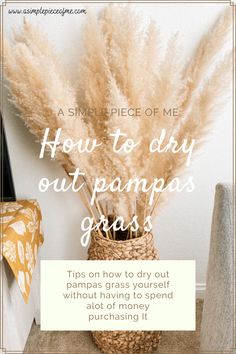 pampas grass in a basket with the words how to dry out pampas grass