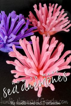 three pink and purple flowers with the words how to make seaweeds on them