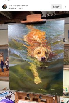 a painting of a golden retriever swimming in the water is being displayed on an easel