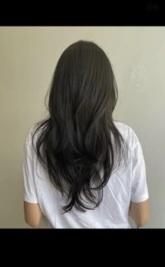 Manta Ray Haircut, Medium Layered V Shaped Haircut, Asian Layer Hair, Long Layered Haircuts Asian Hair, Hair Cuts For Long Thick Hair Straight, Asian Long Layered Haircuts, Wispy Ends Haircut, Korean Hairstyle Layered